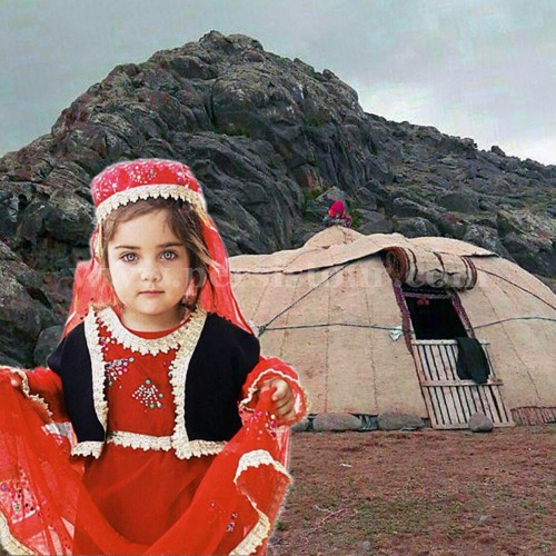 بومگردی