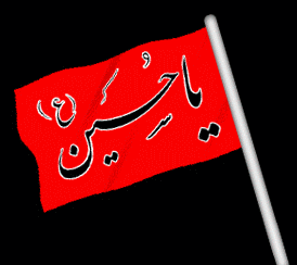 http://s8.picofile.com/file/8336400976/313.gif