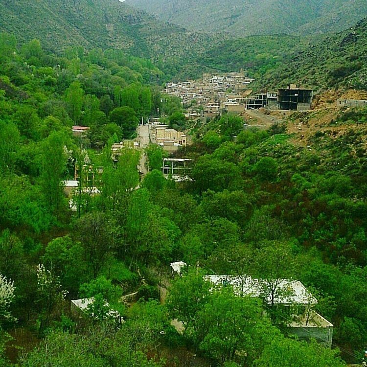 اشتبین