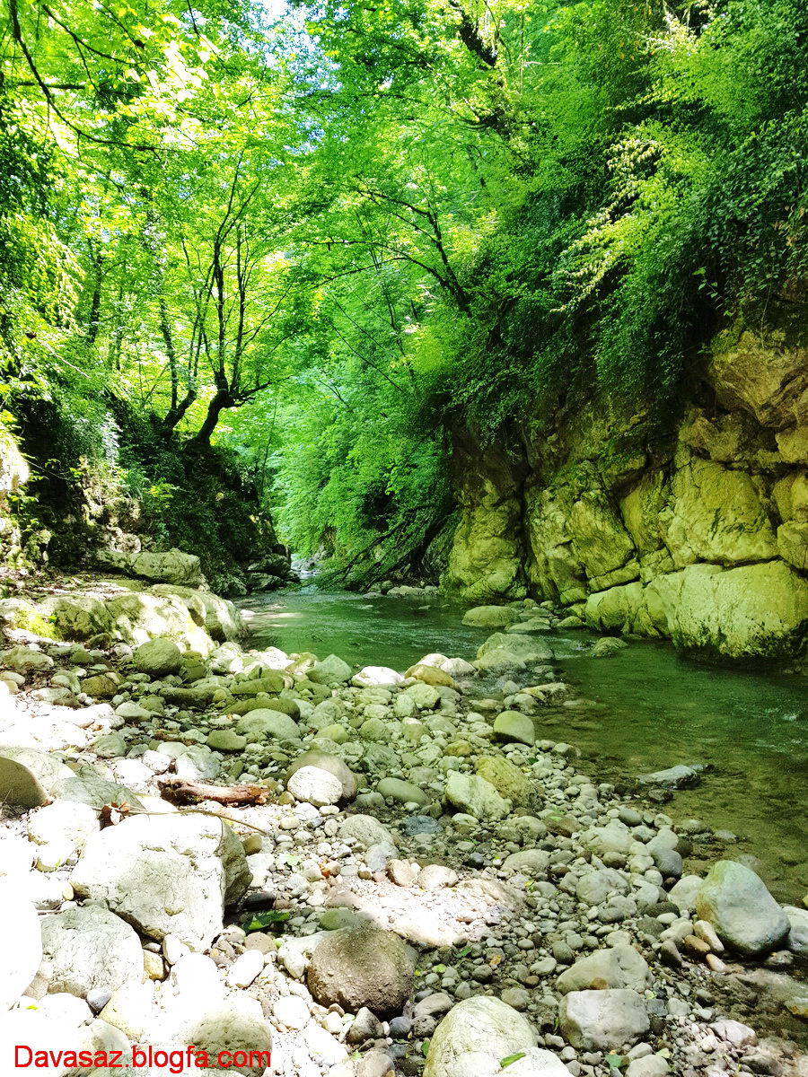 تنگه دار تنگه دار