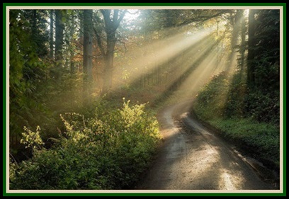 http://s8.picofile.com/file/8337547700/bnesho.jpg