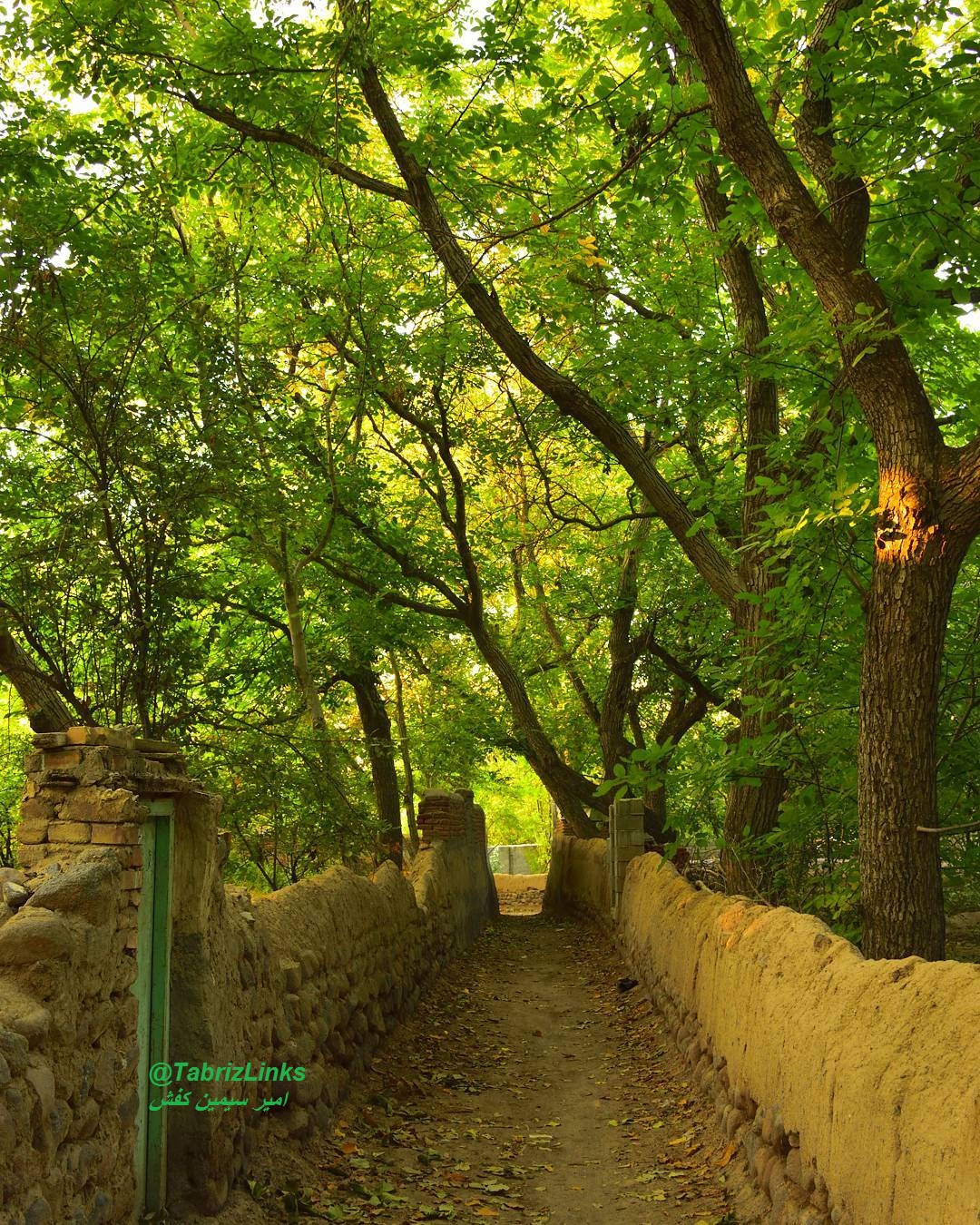 قاضی جهان