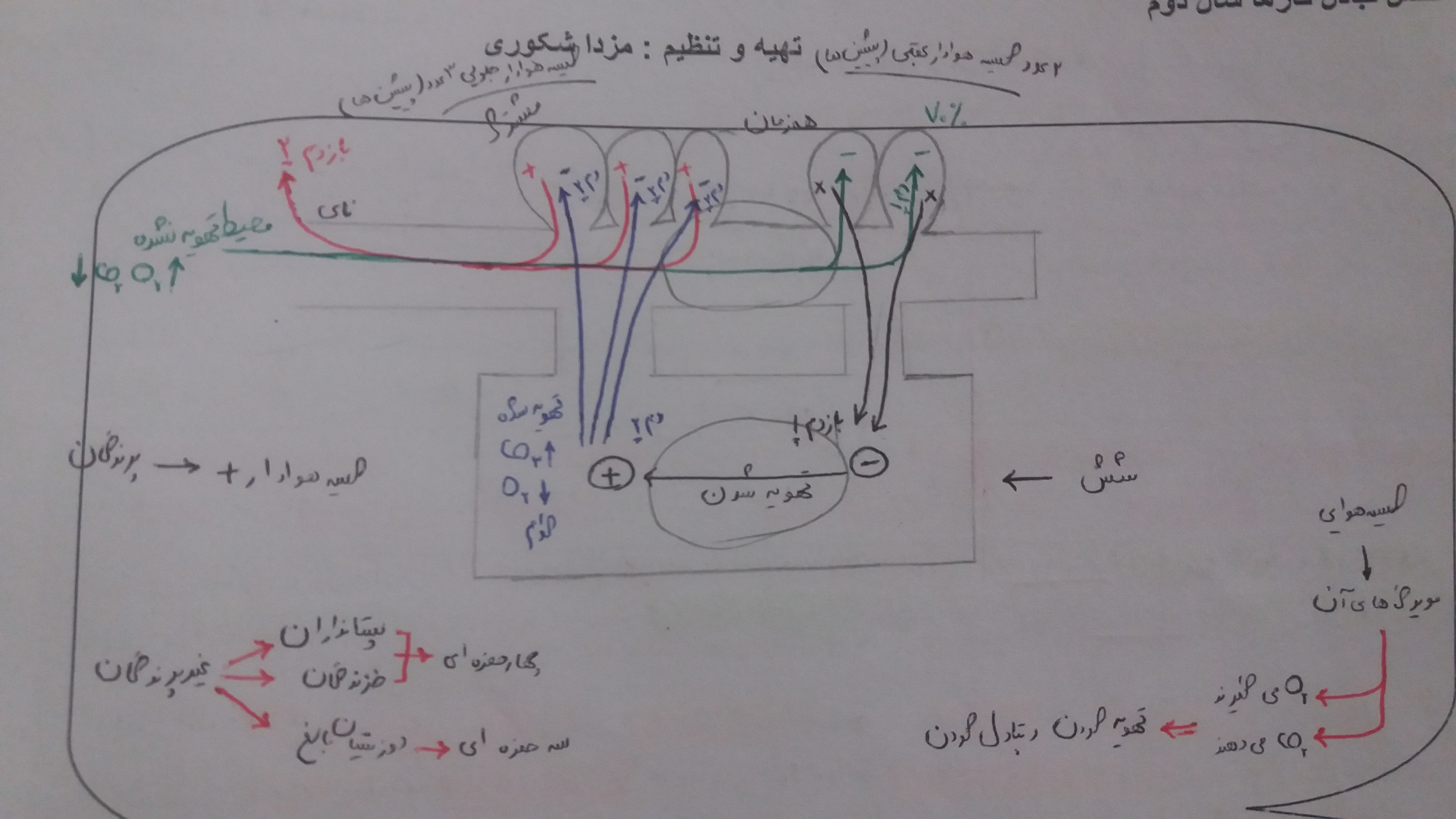 متن جایگزین