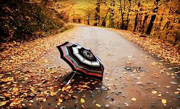 پاییز...
