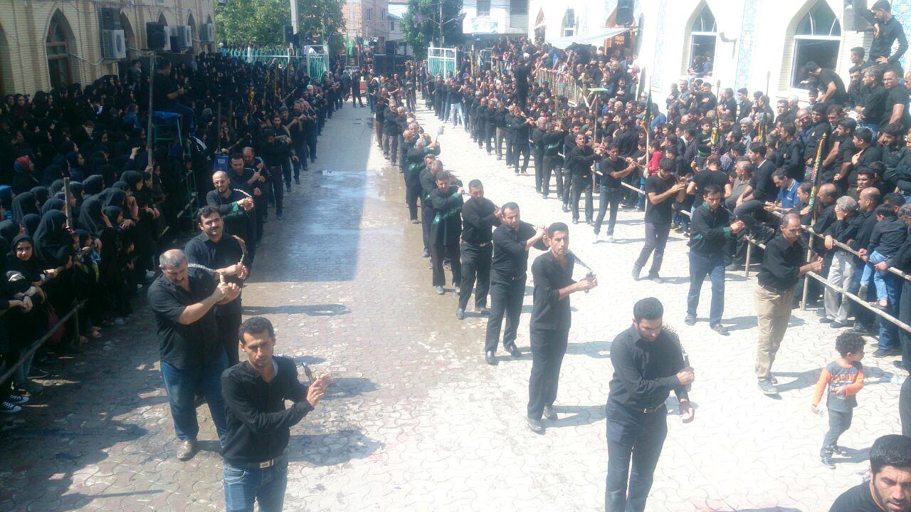 1_108_.jpg (1280×719)