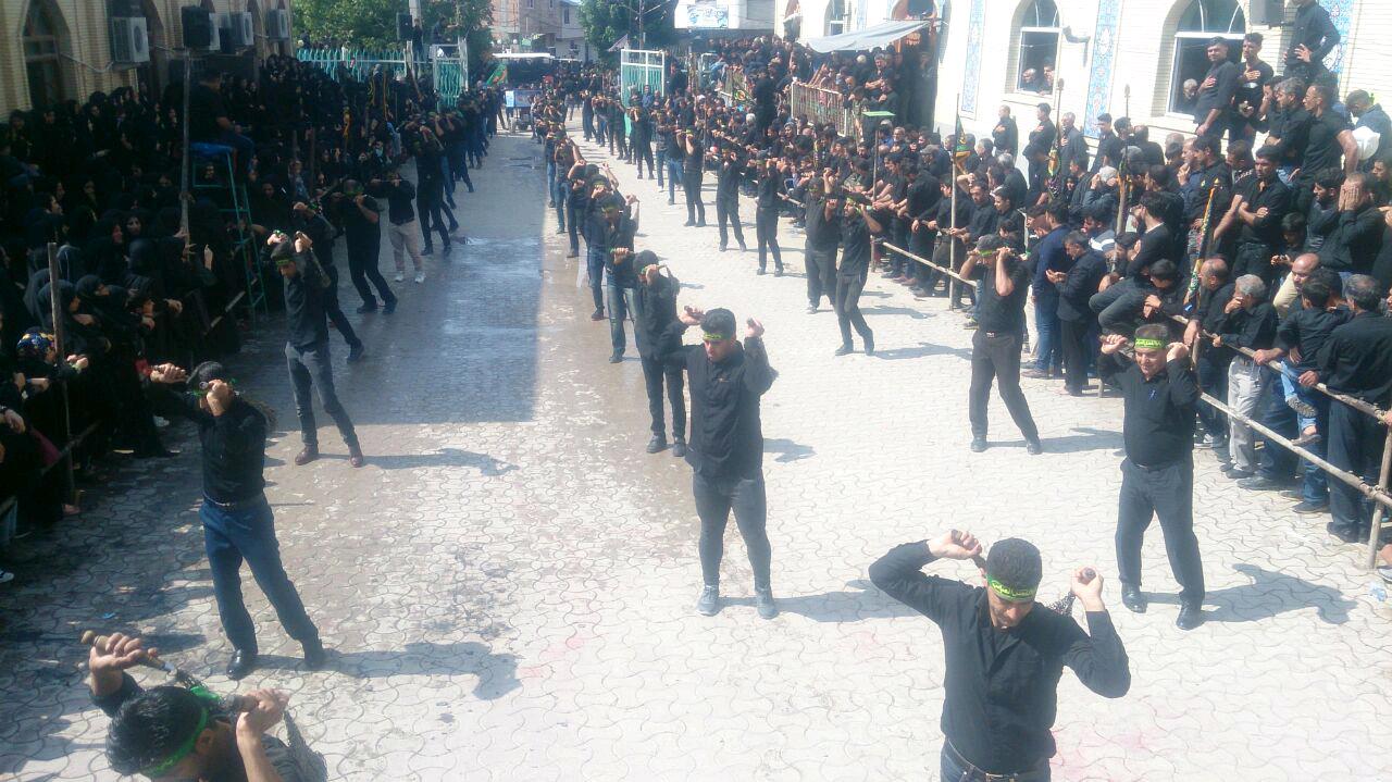 1_138_.jpg (1280×719)