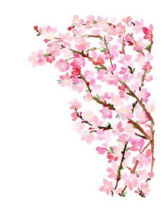 2701fbd4e5e9f9237911ce8fc2ea0651_watercolor_print_watercolor_flowers.jpg (236Ã305)