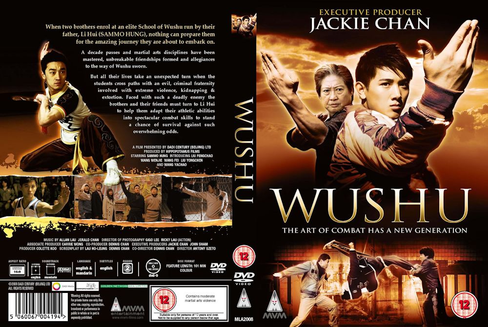 wushu_2008 مدرسه ووشو