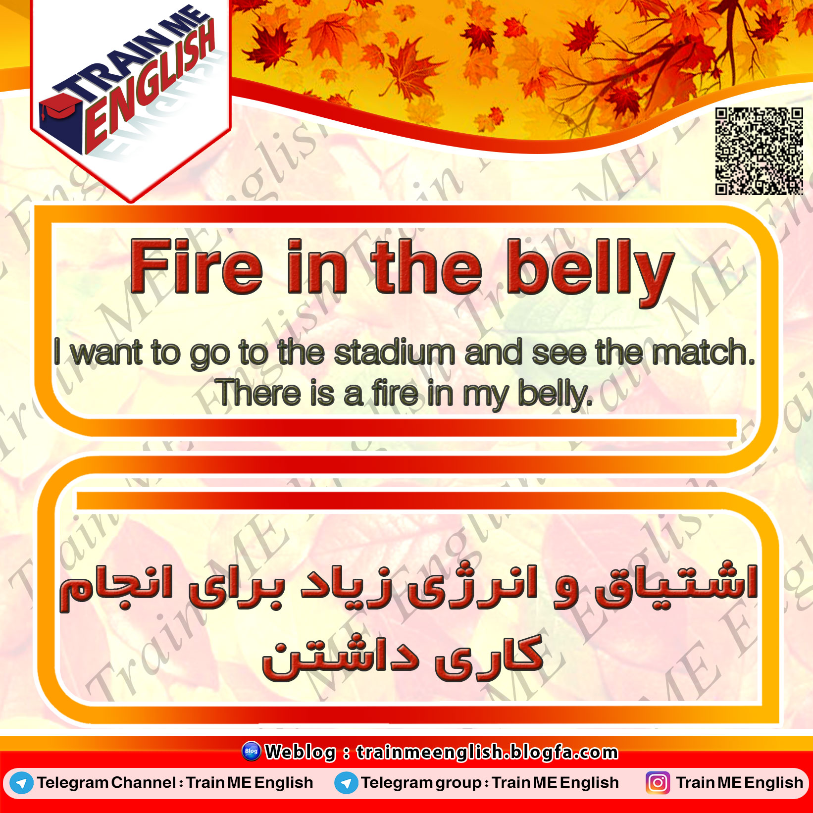اشتیاق و انرژی زیاد برای انجام کاری داشتن به انگلیسی