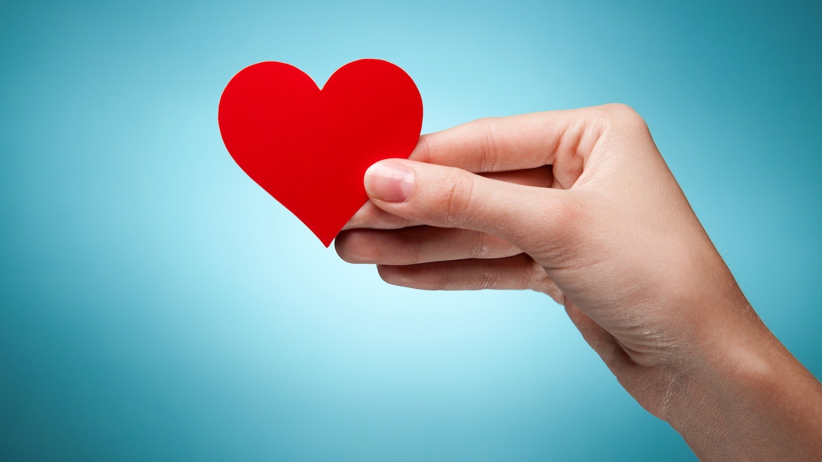 http://s8.picofile.com/file/8341523376/random_acts_of_kindness_baer_1600x900.jpeg