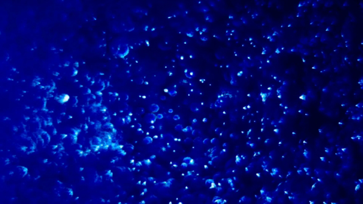 Related image