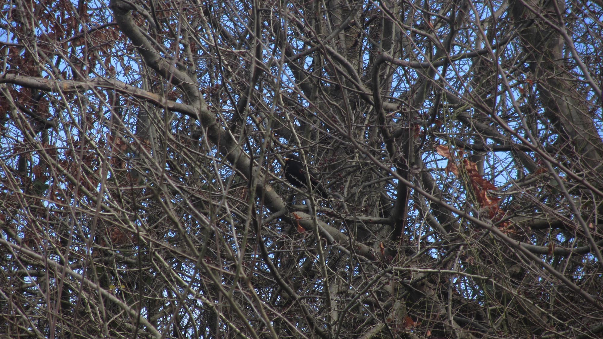 1_3_.jpg (2000×1124)