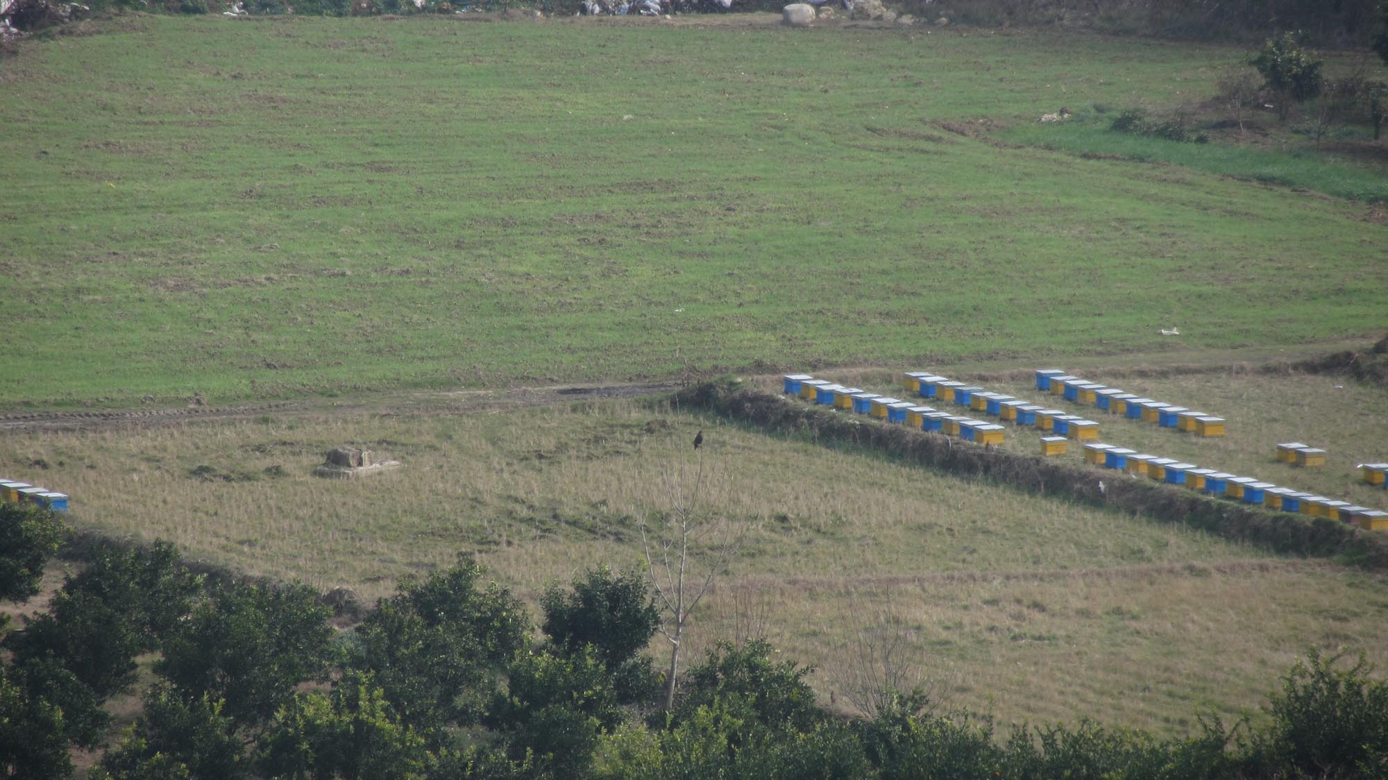 1_5_.jpg (2000×1124)