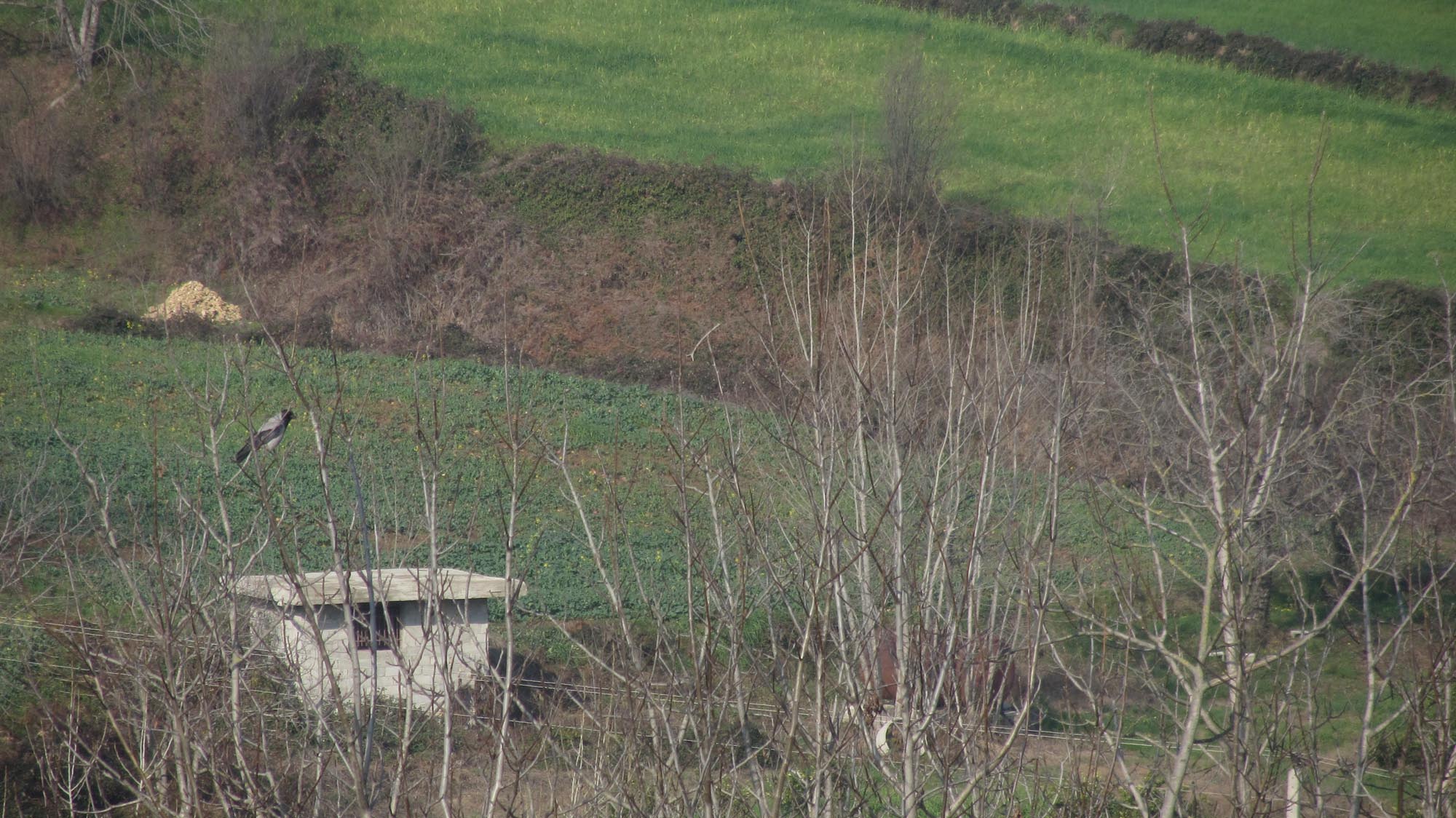 1_9_.jpg (2000×1124)