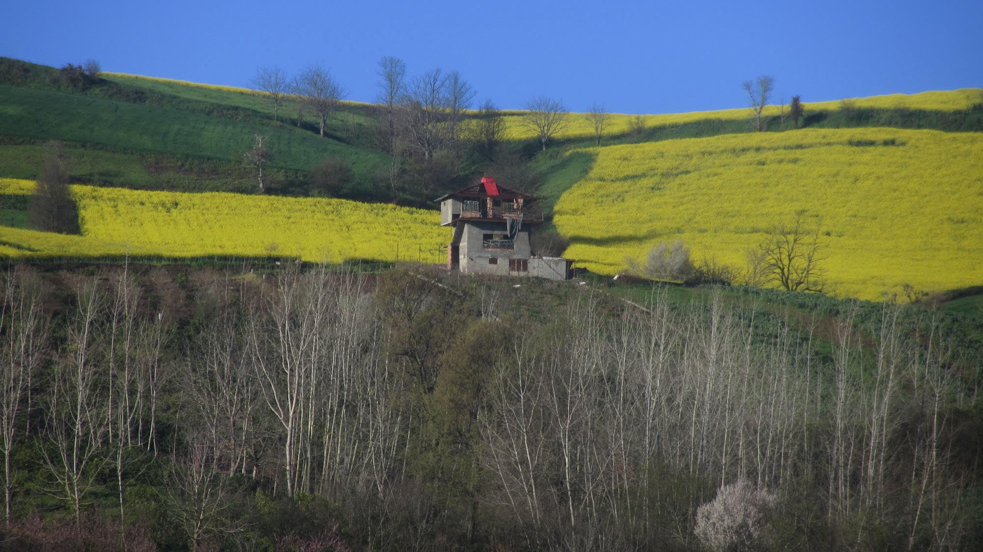 1_12_.jpg (2000×1124)