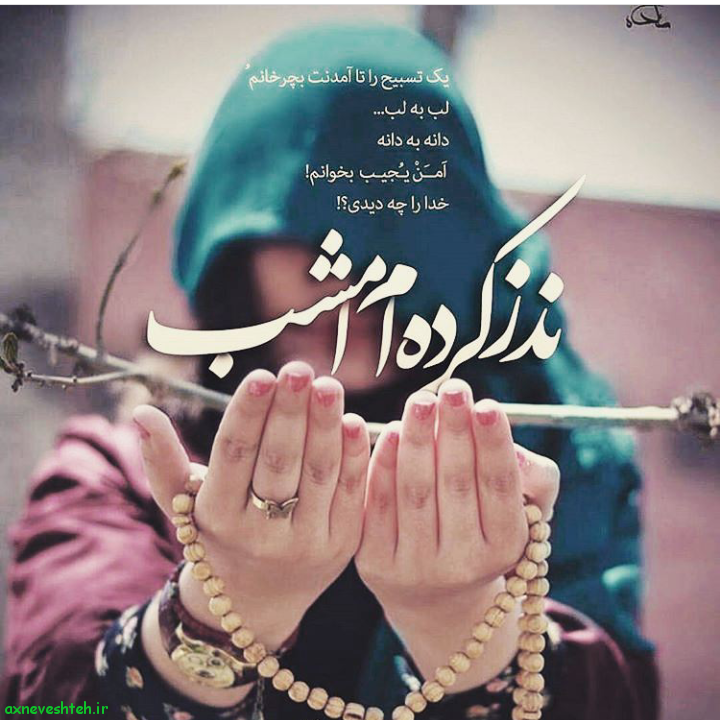279 روز