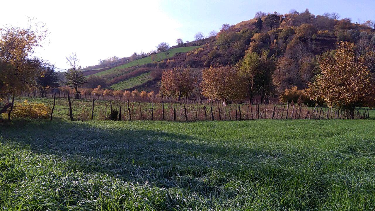 1_2_.jpg (1280×720)