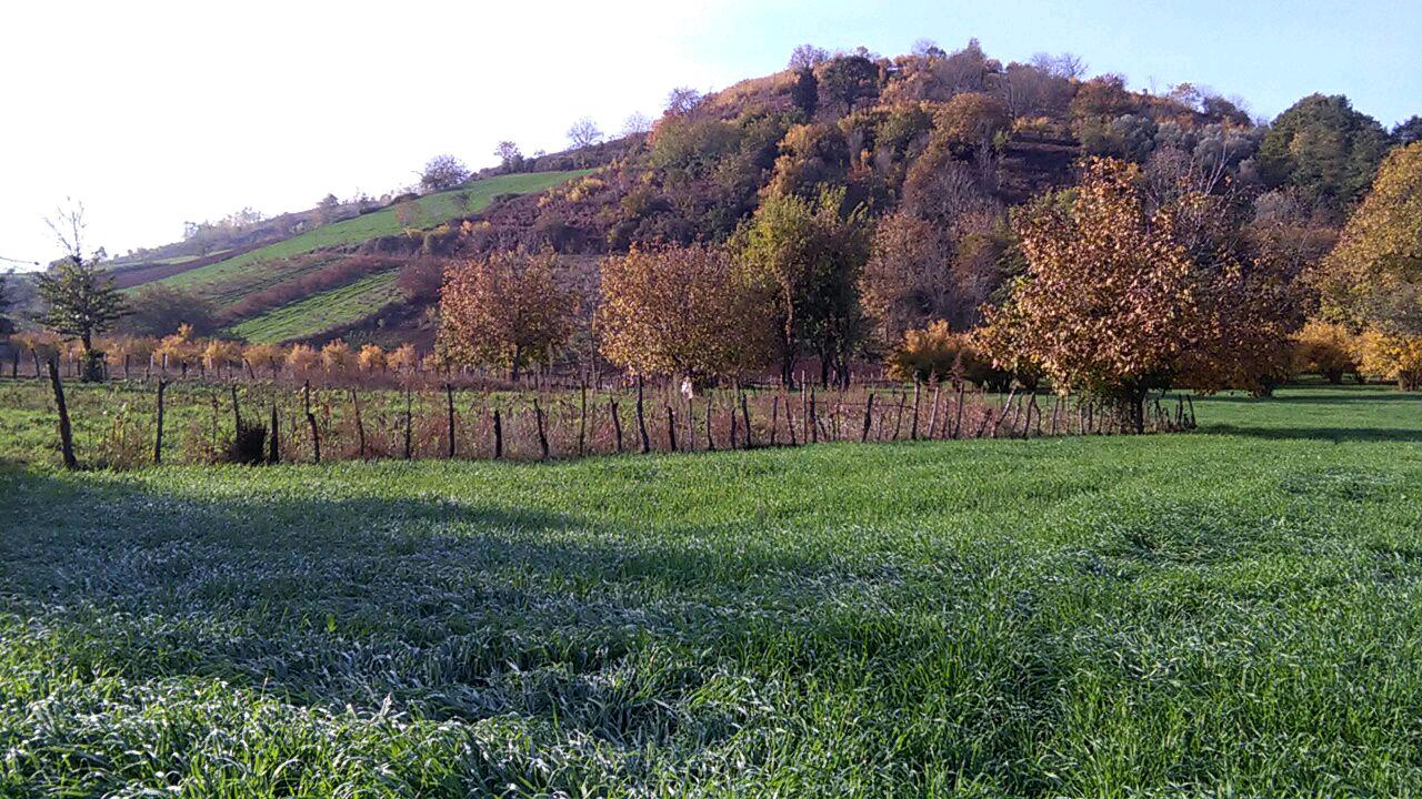 1_3_.jpg (1280×720)