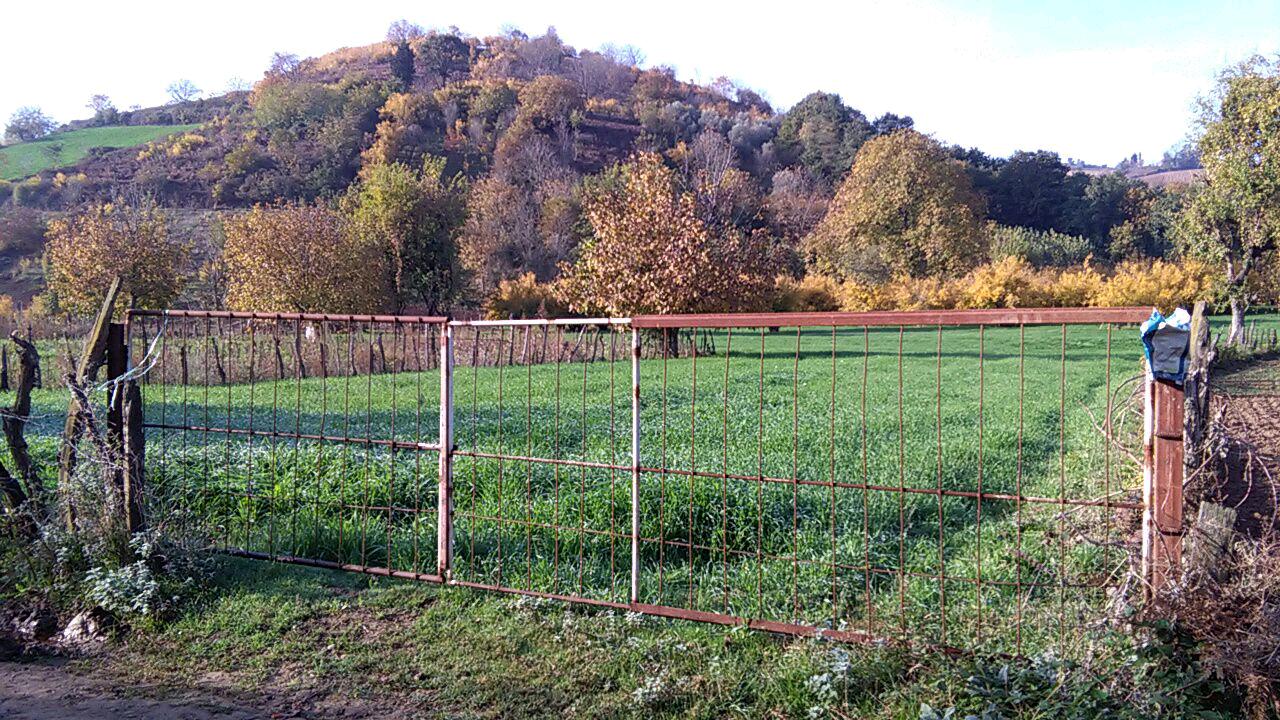 1_5_.jpg (1280×720)