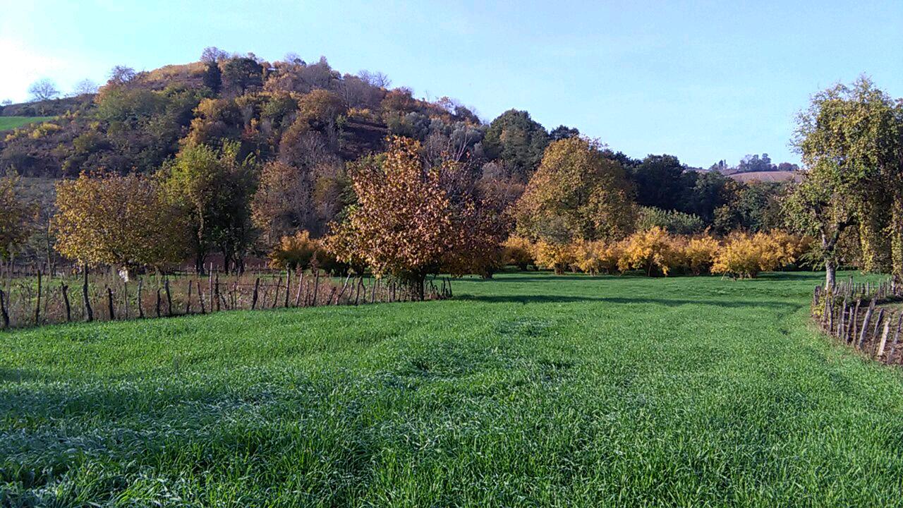 1_6_.jpg (1280×720)