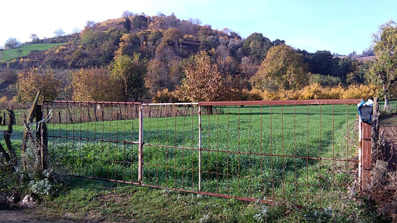 1_10_.jpg (1280×720)