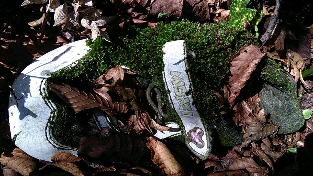 1_3_.jpg (1280×720)