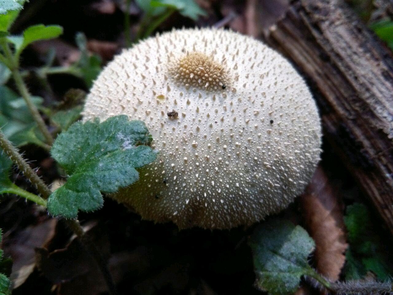 1_5_.jpg (1280×960)