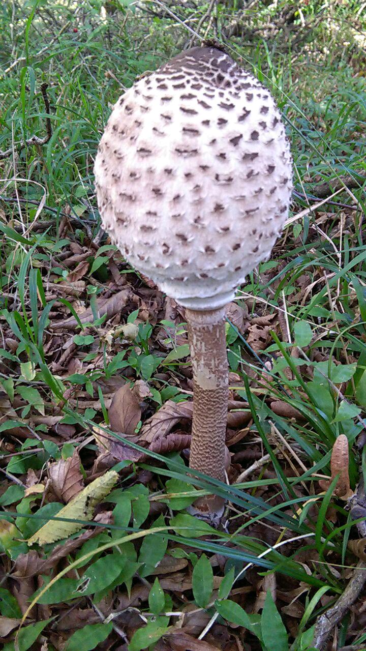 1_10_.jpg (720×1280)