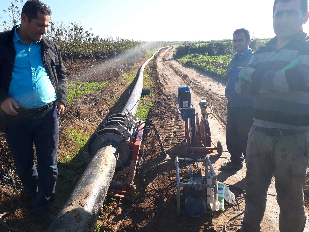 1_6_.jpg (1280×960)