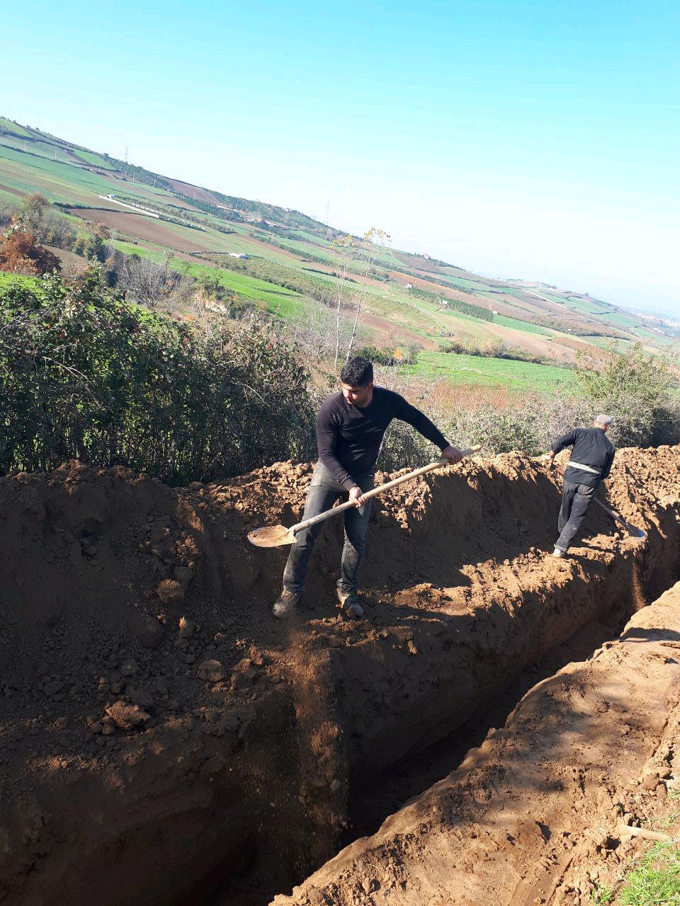 1_17_.jpg (960×1280)