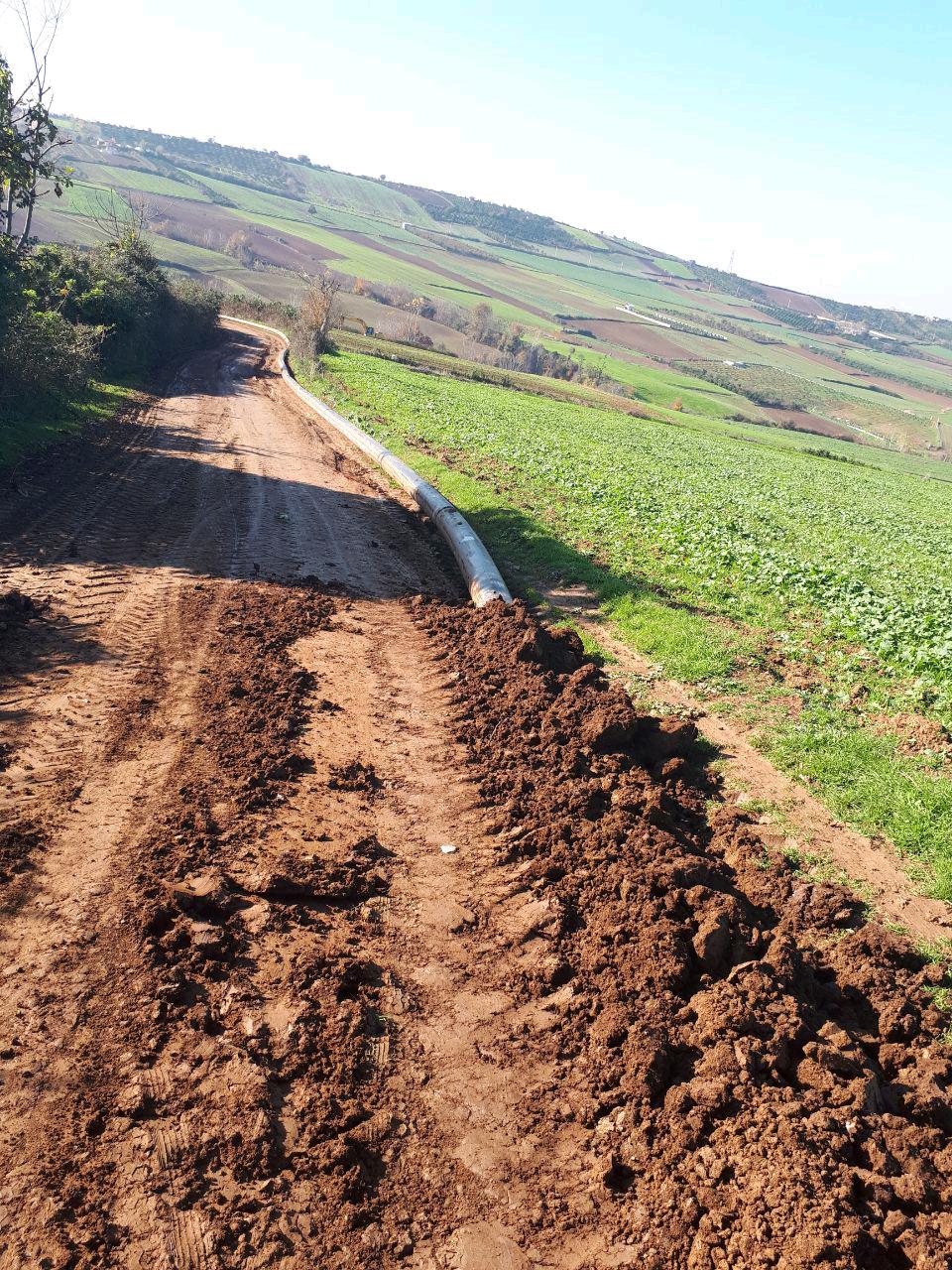 1_21_.jpg (960×1280)