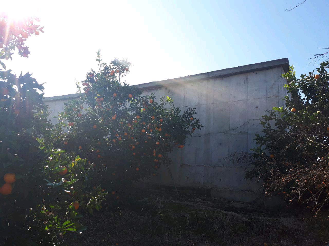 1_23_.jpg (1280×960)