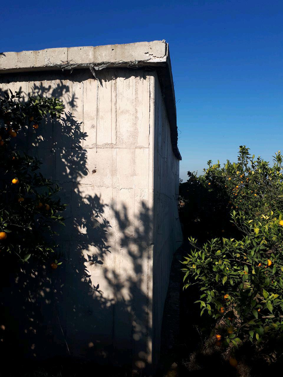 1_25_.jpg (960×1280)