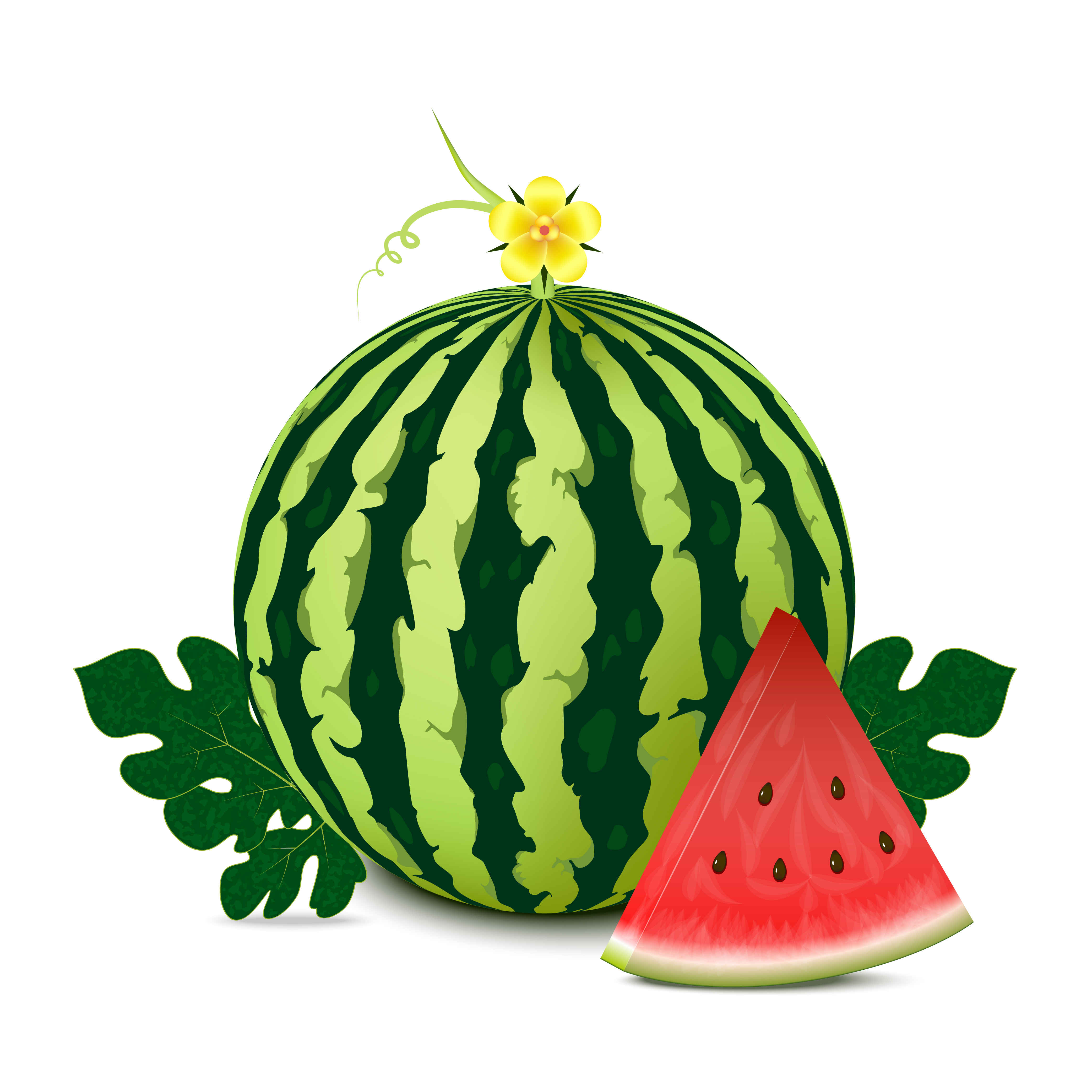 http://s8.picofile.com/file/8346320942/h1_5_.jpg
