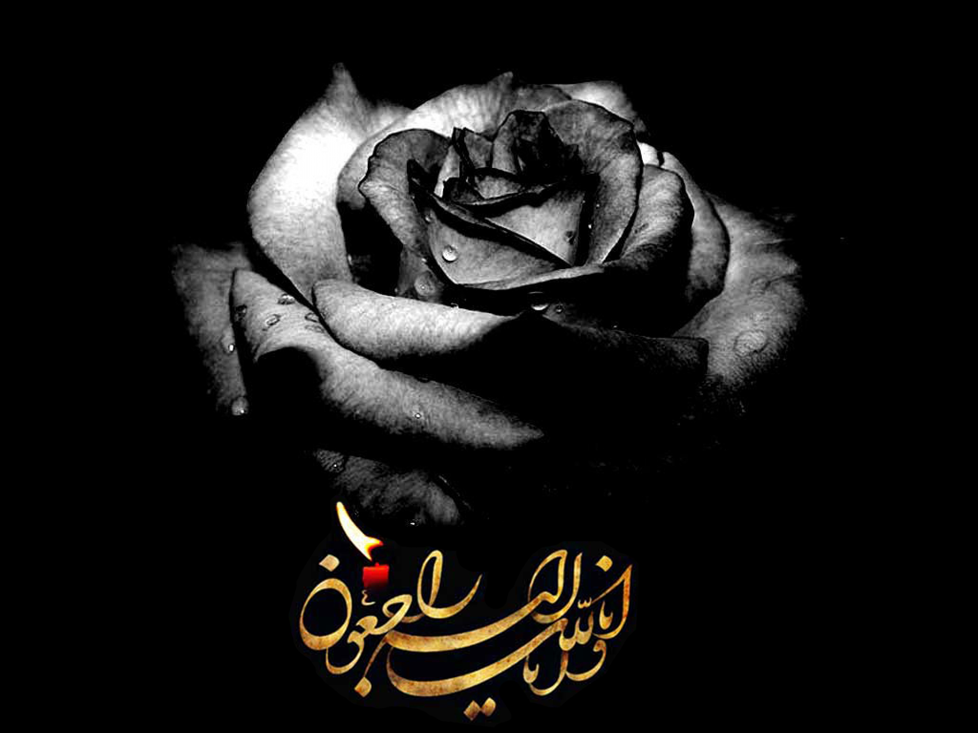 موسسه فرهنگی ورزشی و توانبخشی ایثار خراسان رضوی