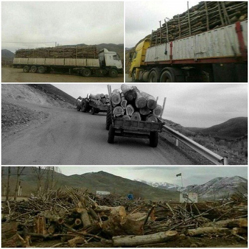 چوبهای ارسباران