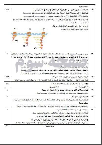 سوال امتحانی دی ماه زیست شناسی دوازدهم قابل ویرایش