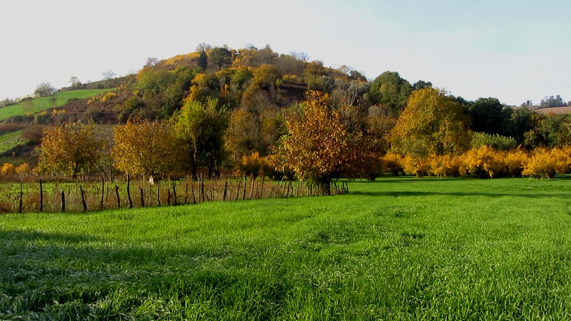 1_2_.jpg (1920×1080)