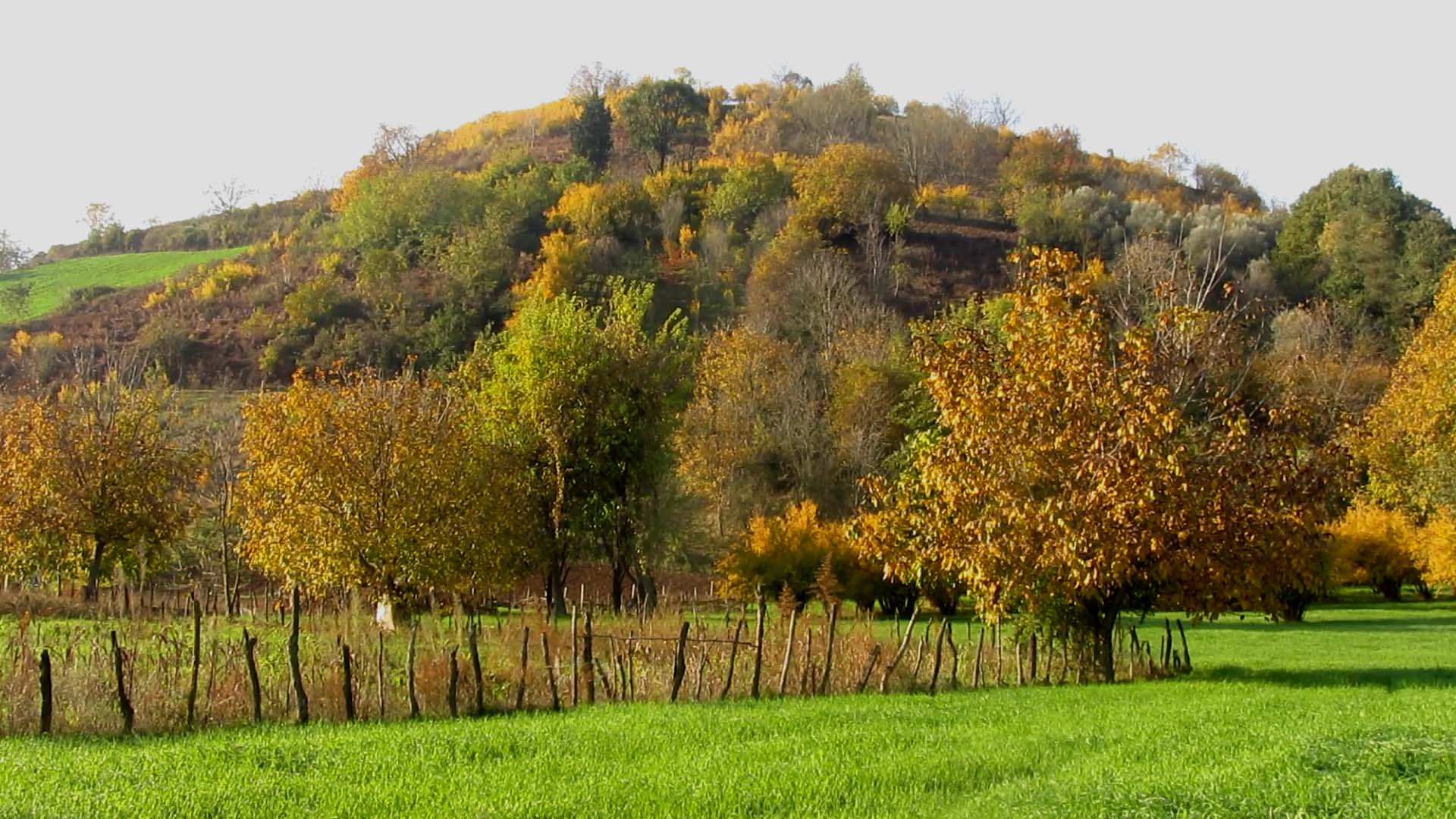 1_3_.jpg (1920×1080)