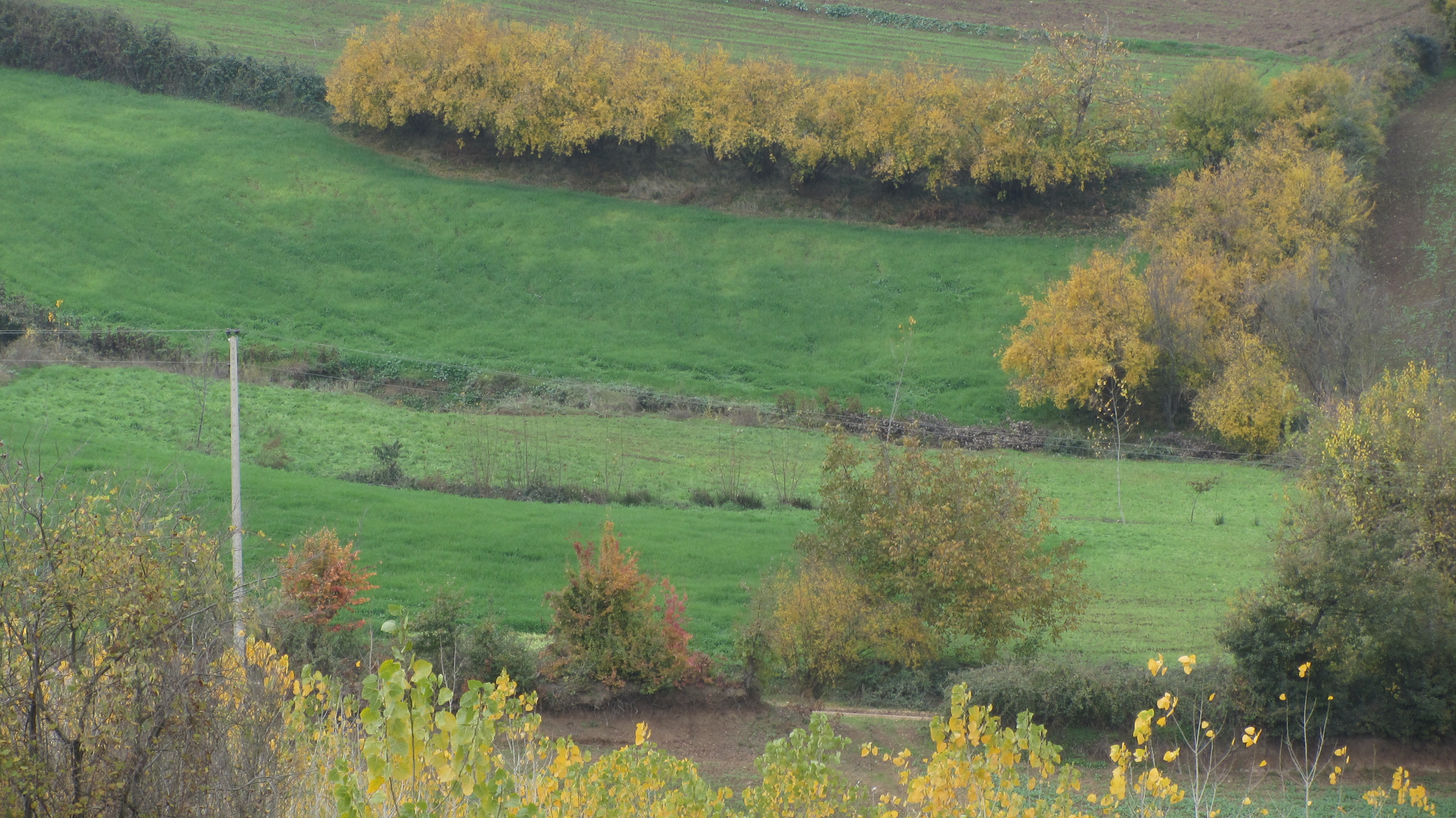 1_5_.JPG (4000×2248)