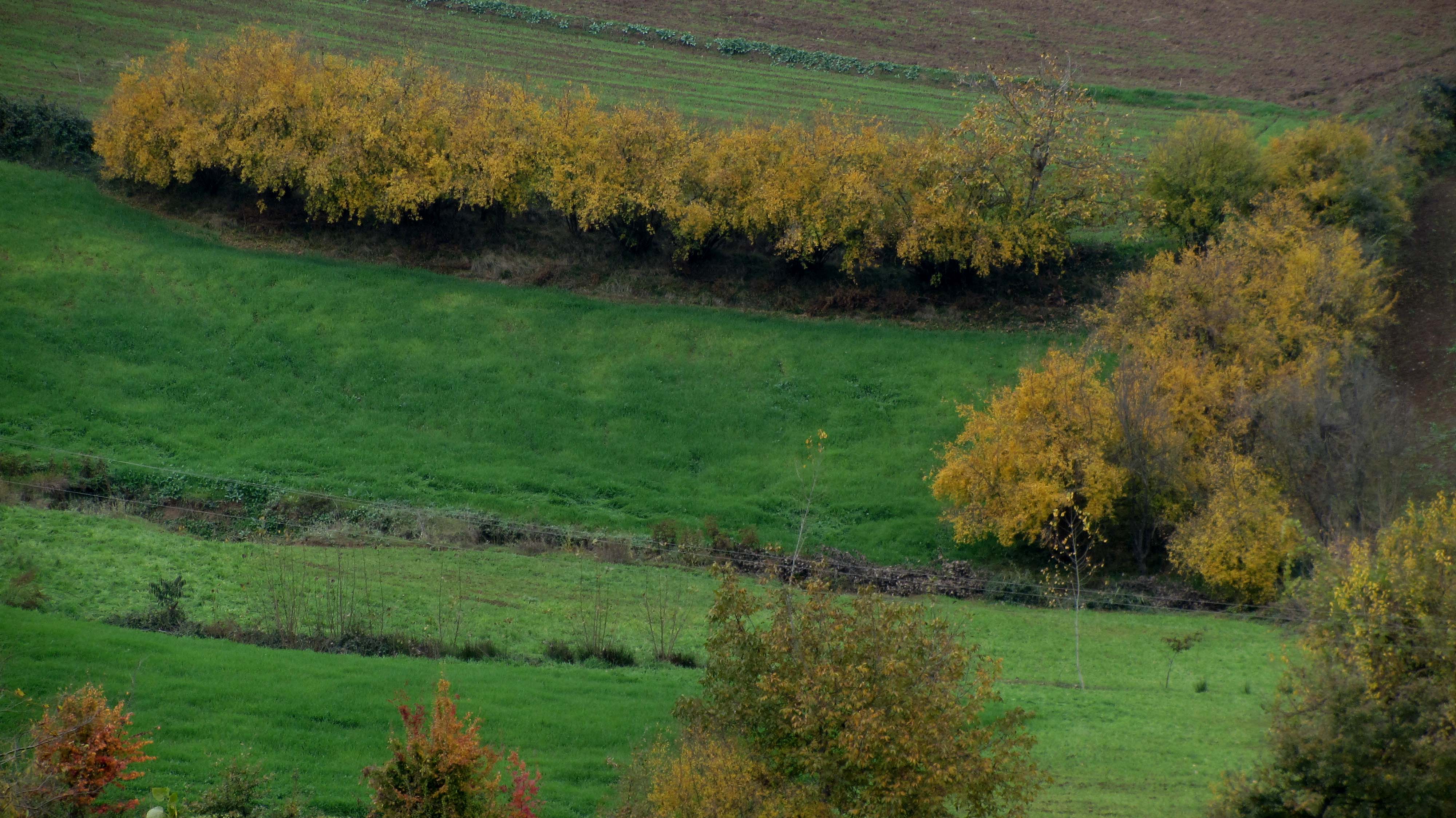 1_6_.JPG (4000×2248)