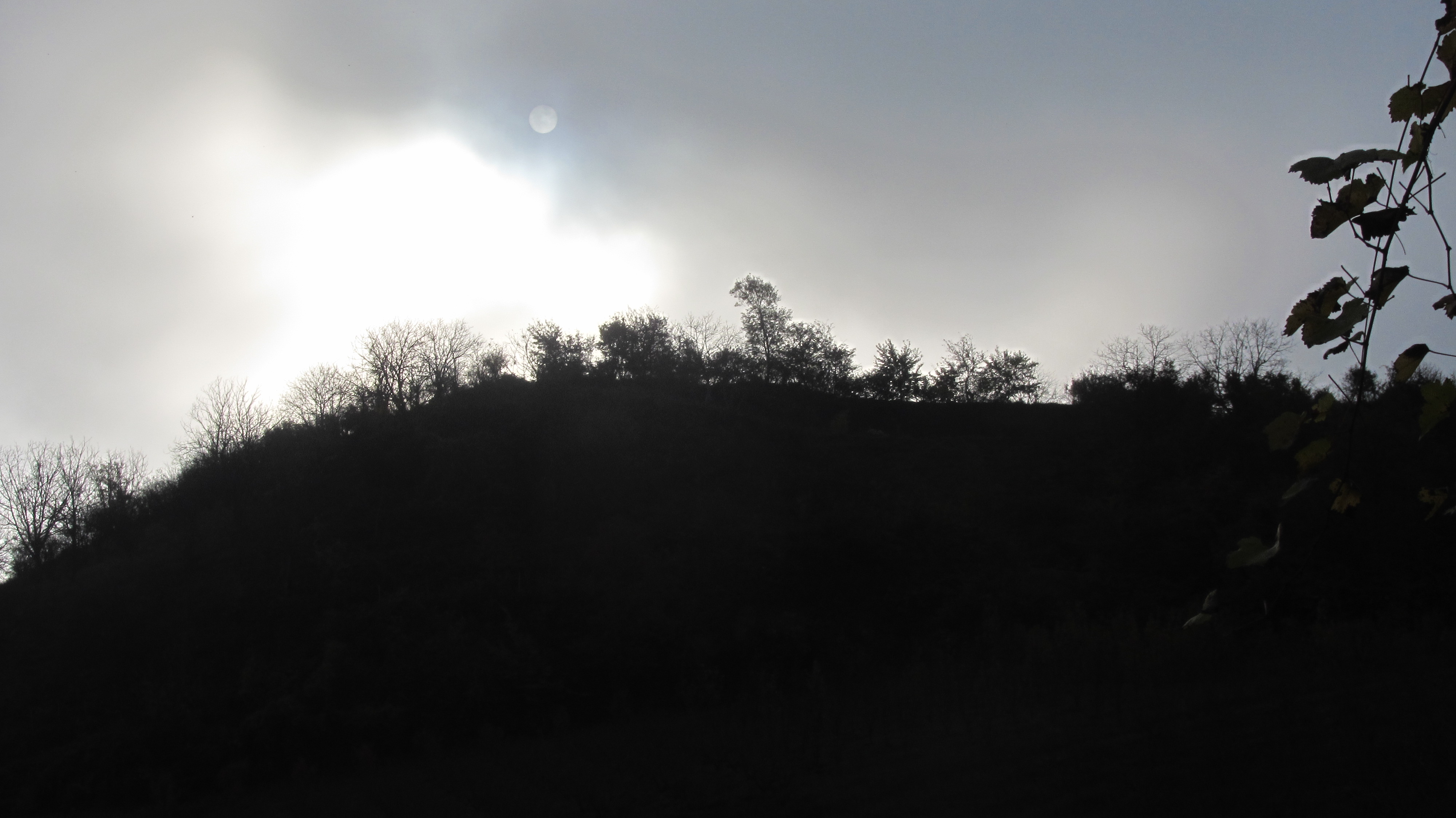 1_8_.JPG (4000×2248)