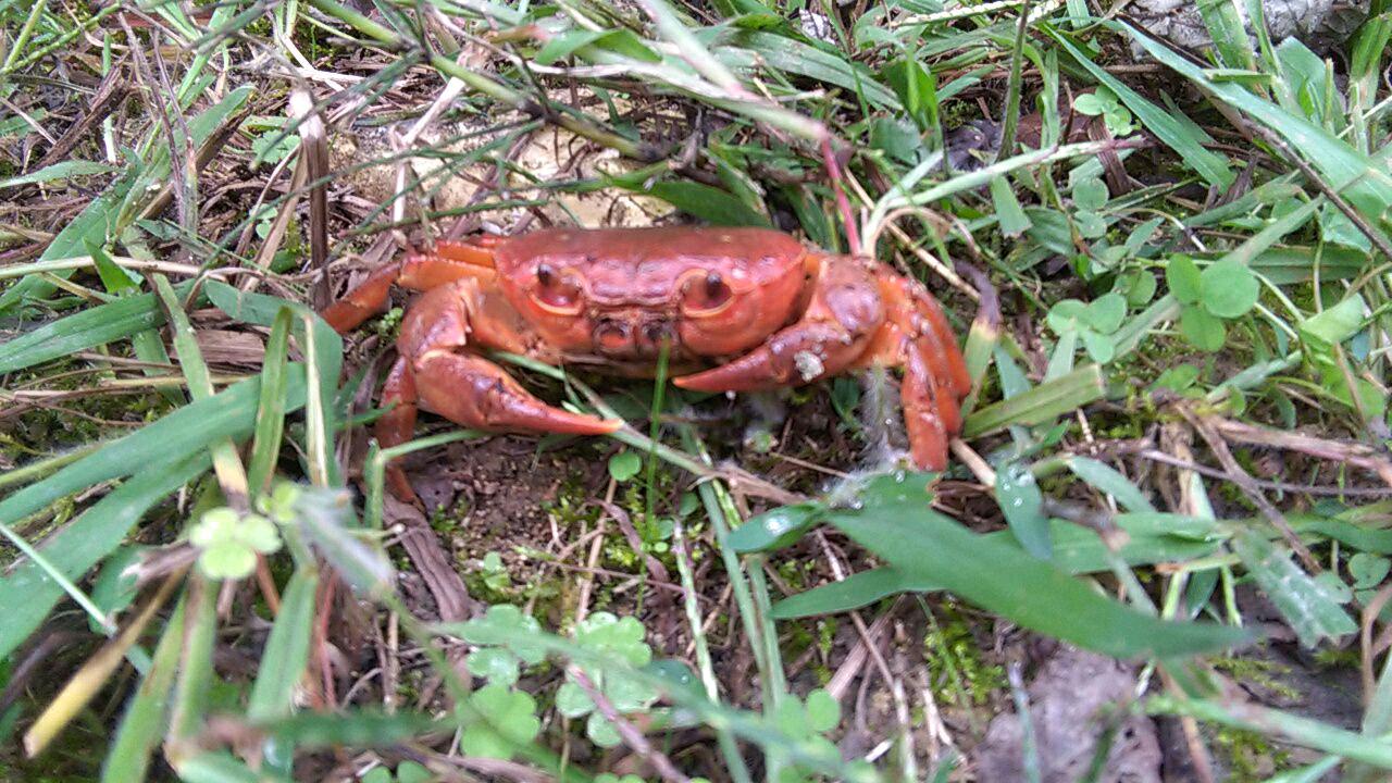 1_3_.jpg (1280×720)