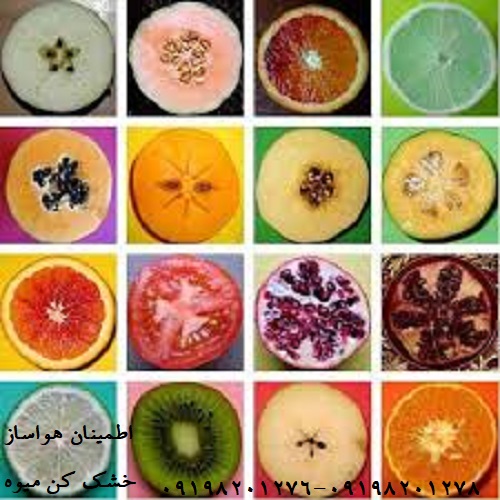 کاملترین جدول کالری میوه خشک