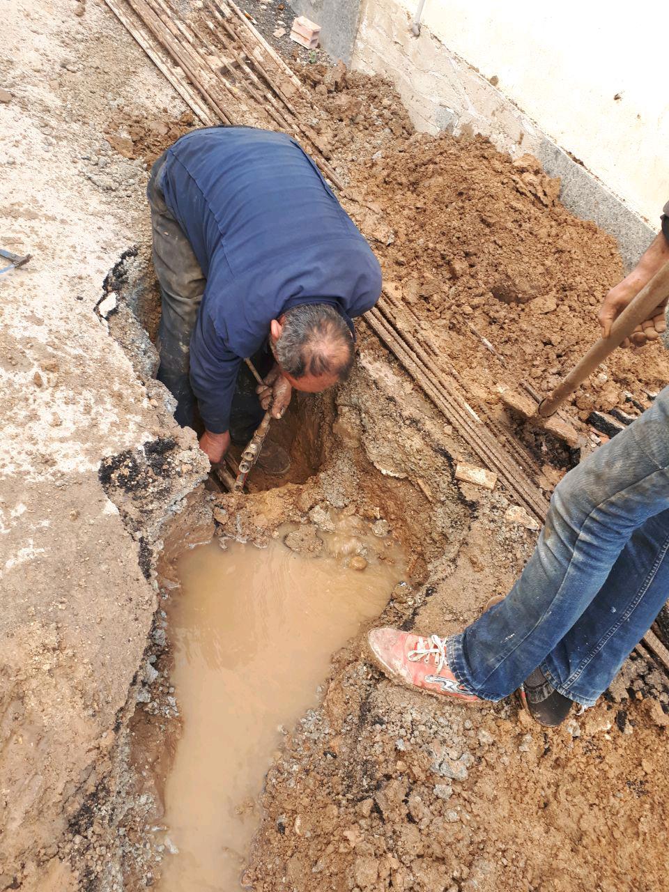 1_3_.jpg (960×1280)