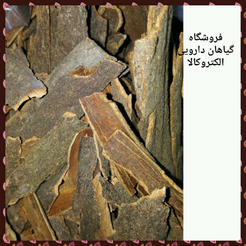 دارچین چیستدارچینیدارچین برای لاغریدارچین و پروستاتدارچین و پرولاکتیندارچین و عسلدارچین و فشار خوندارچین و وازلیندارچین در بارداریدارچین استروژندارچین اصلی