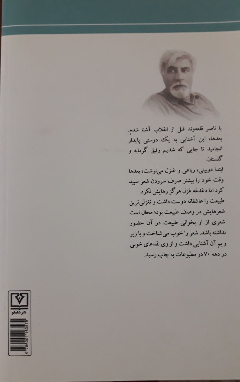 ناصر قلعه وند