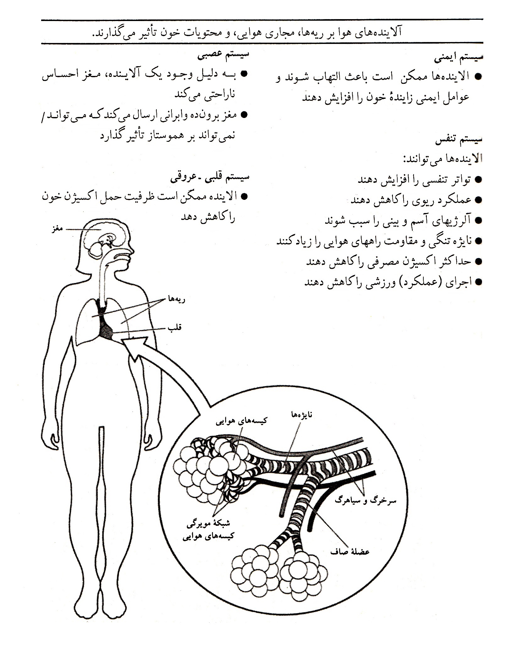 آکادمی تربیت بدنی و علوم <strong>ورزشی</strong>/مهدی باغین زاده فیزیولوژیست <strong>ورزشی</strong> <strong>اثر</strong> <strong>فیزیولوژیک</strong> آلاینده ها بر هملکرد ورزشی