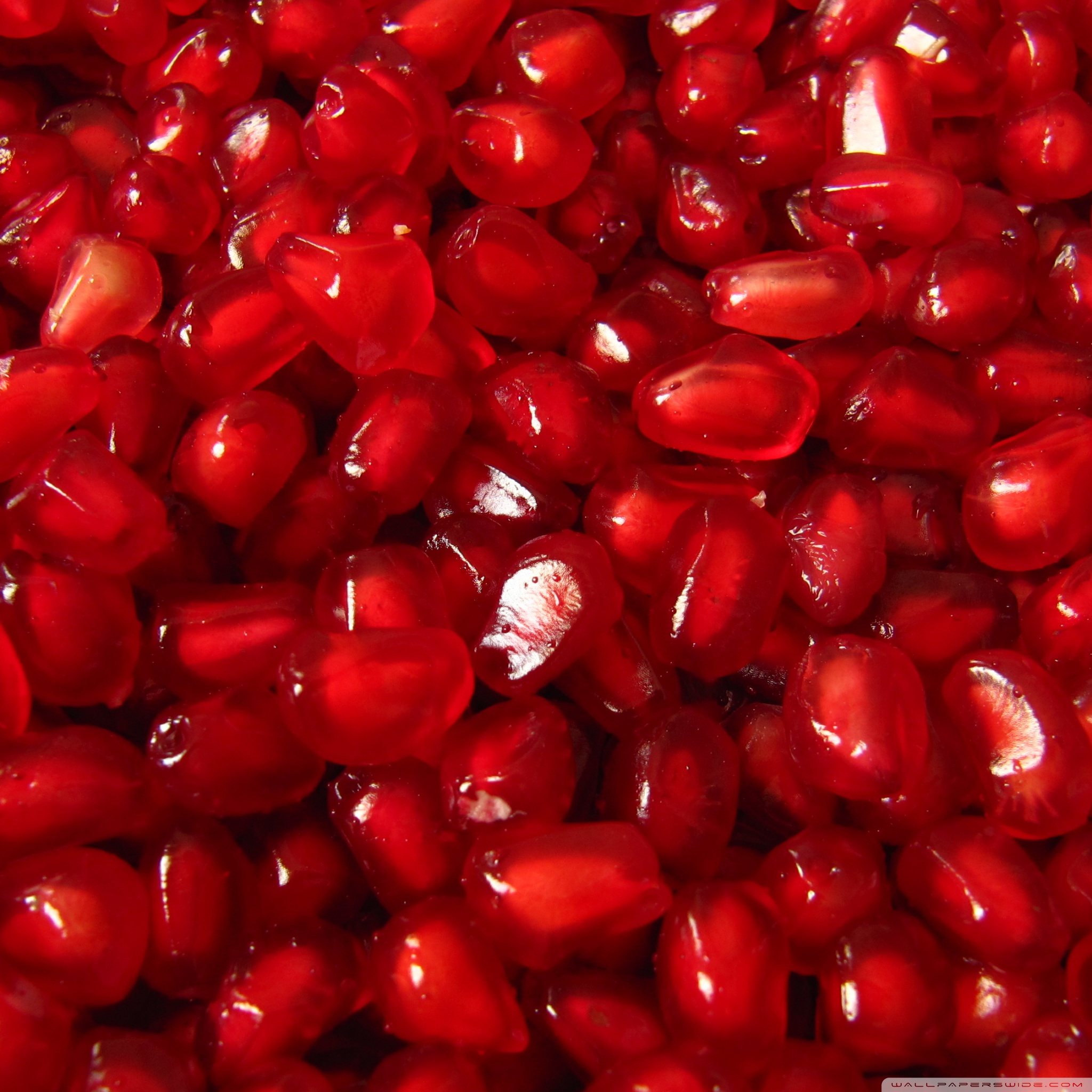 saeed_pomegranate_wallpaper