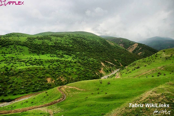 هریس